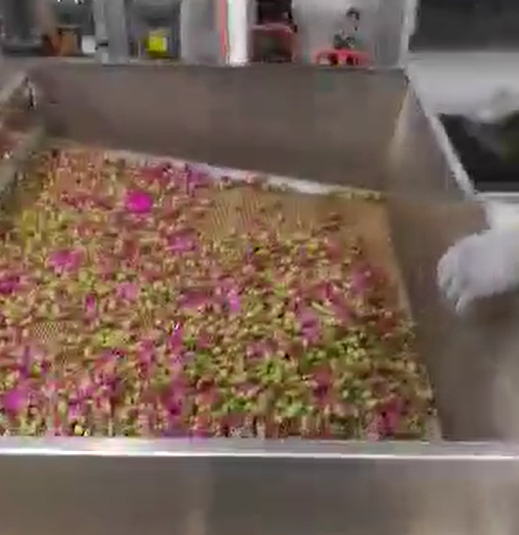 花茶91视频网页版干燥机应用