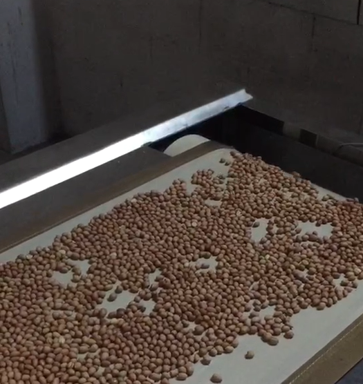 食品91视频网页版干燥机应用